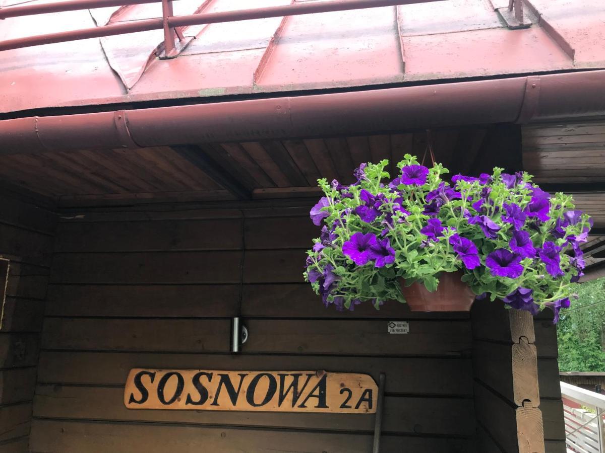 Sosnowy Zakatek Villa Wisla Exterior photo